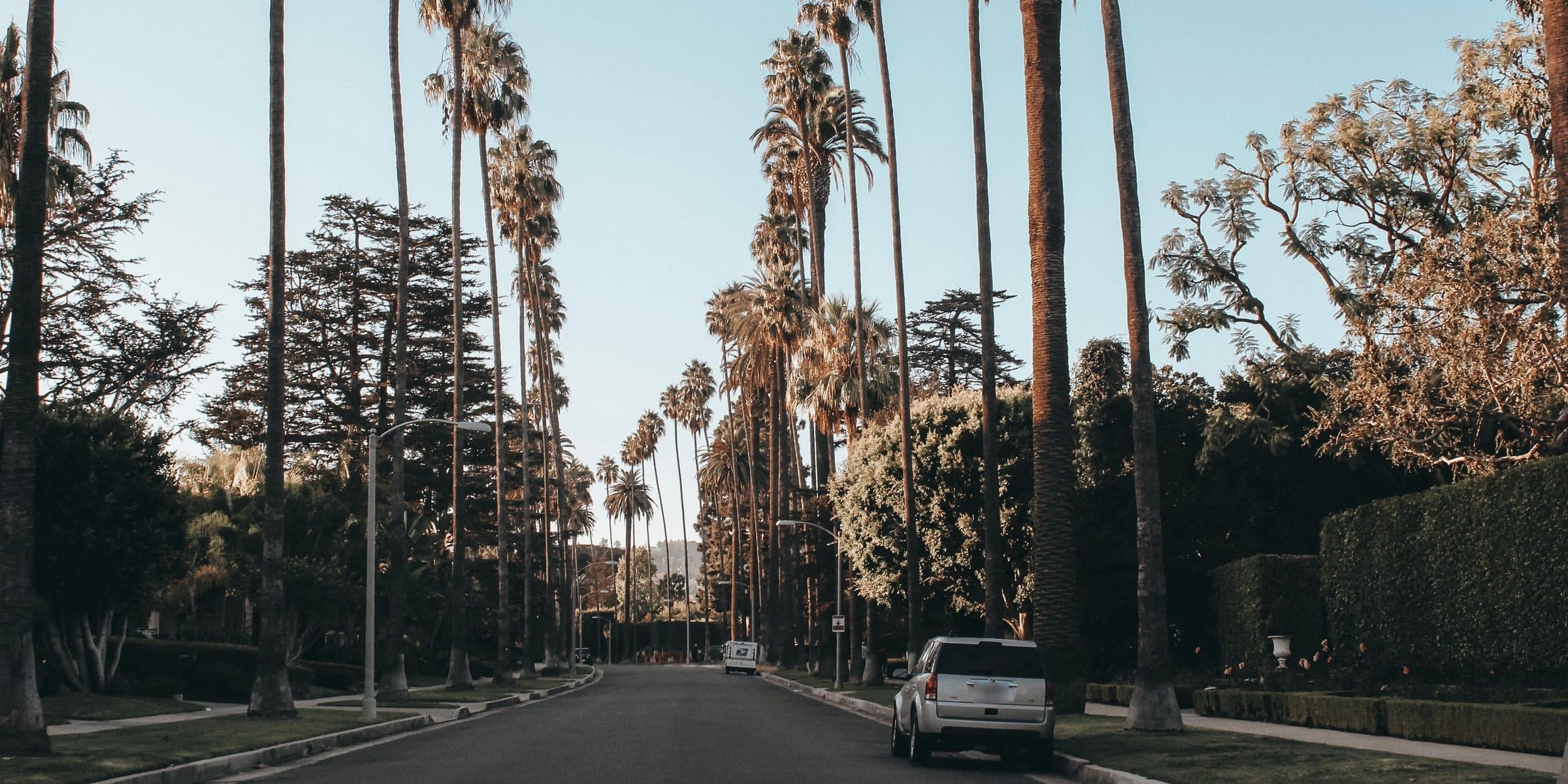 Quiet residential street lined with tall palm trees and trimmed hedges