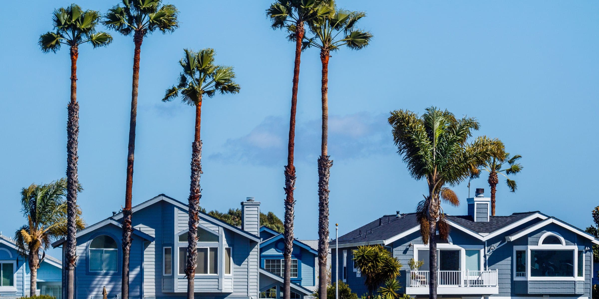 Tall palm trees rising above gray-blue two-story houses under a clear blue sky