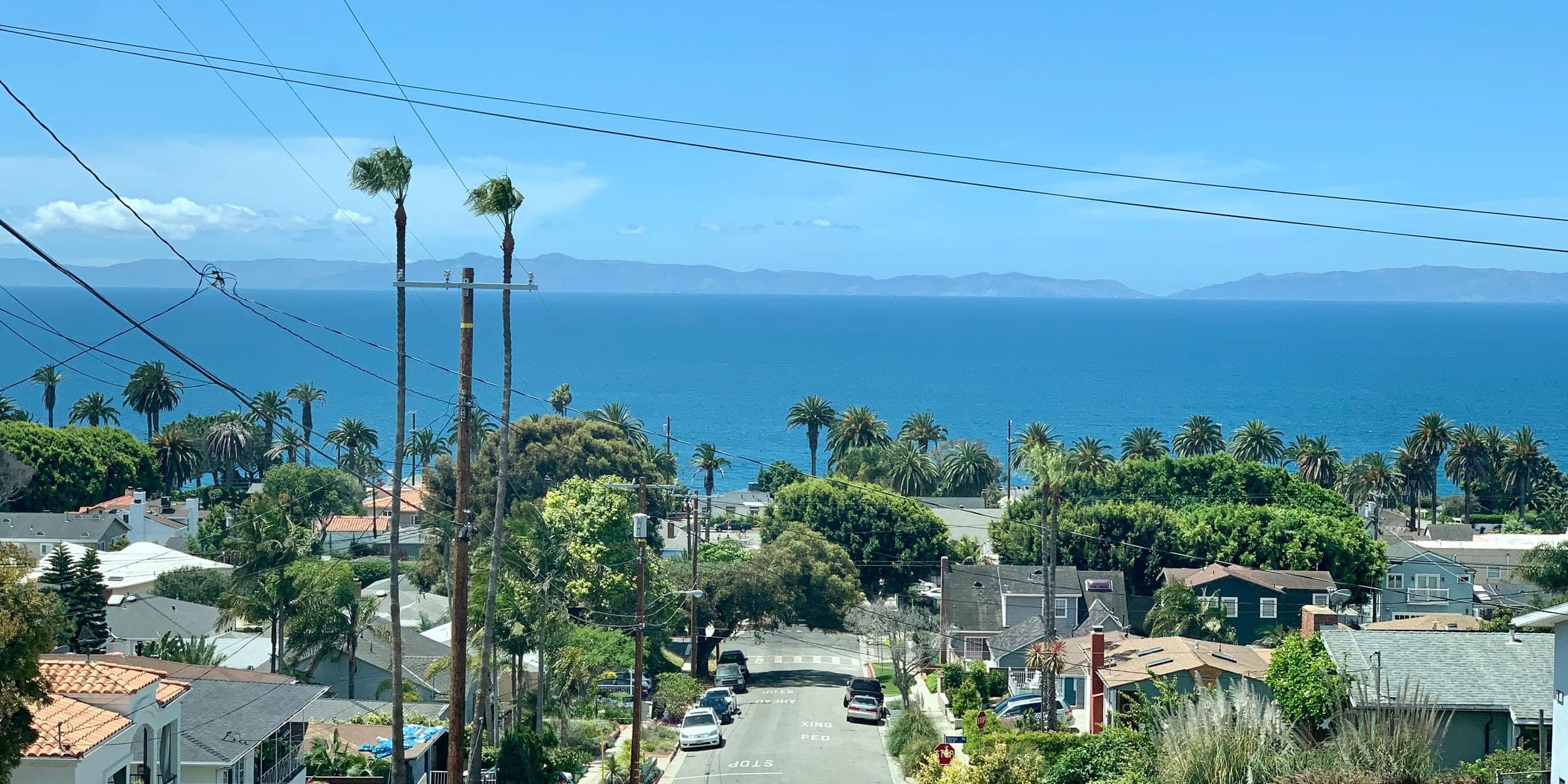 Residential street sloping down to the ocean past palm trees and hillside homes