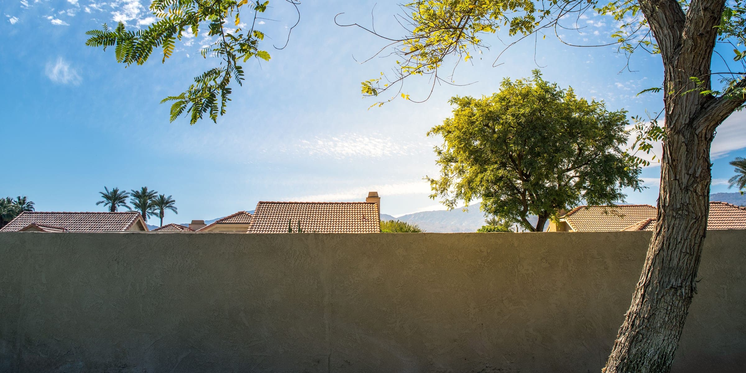 Clay tile rooftops and palm trees peeking over a stucco garden wall on a sunny day
