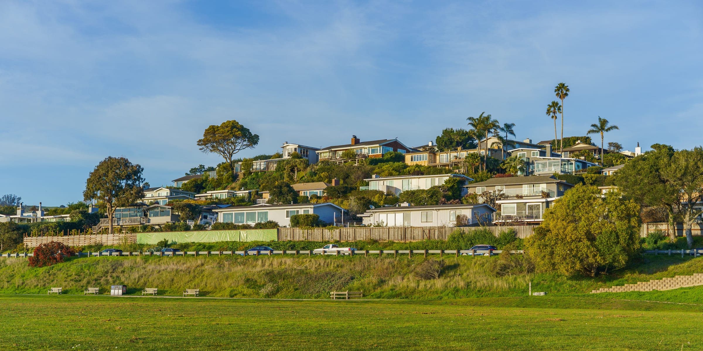 Hillside neighborhood of homes and palm trees above a green park on a sunny day