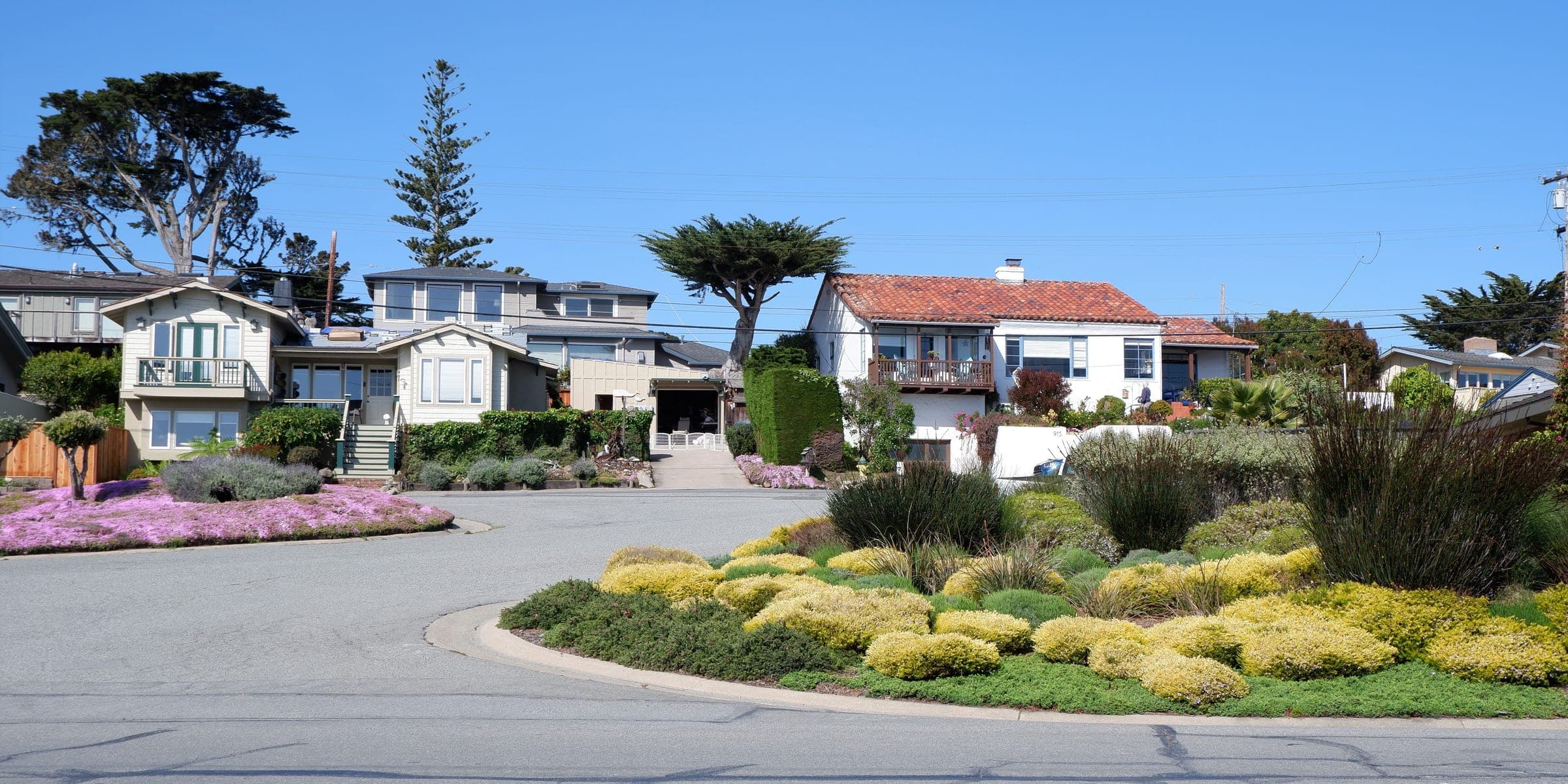 Neighborhood homes behind a curving street with colorful drought-tolerant plantings