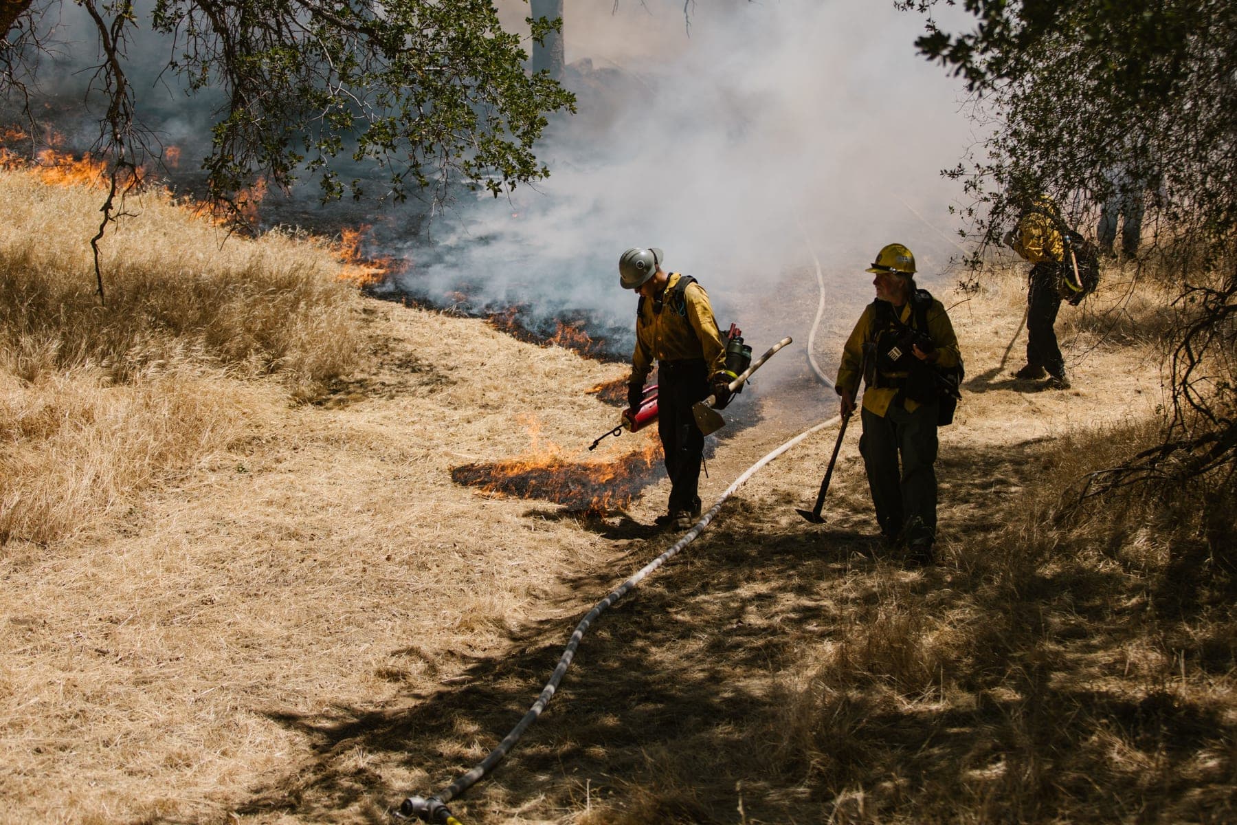 Wildland firefighters with a hose line working a grass fire in dry brush