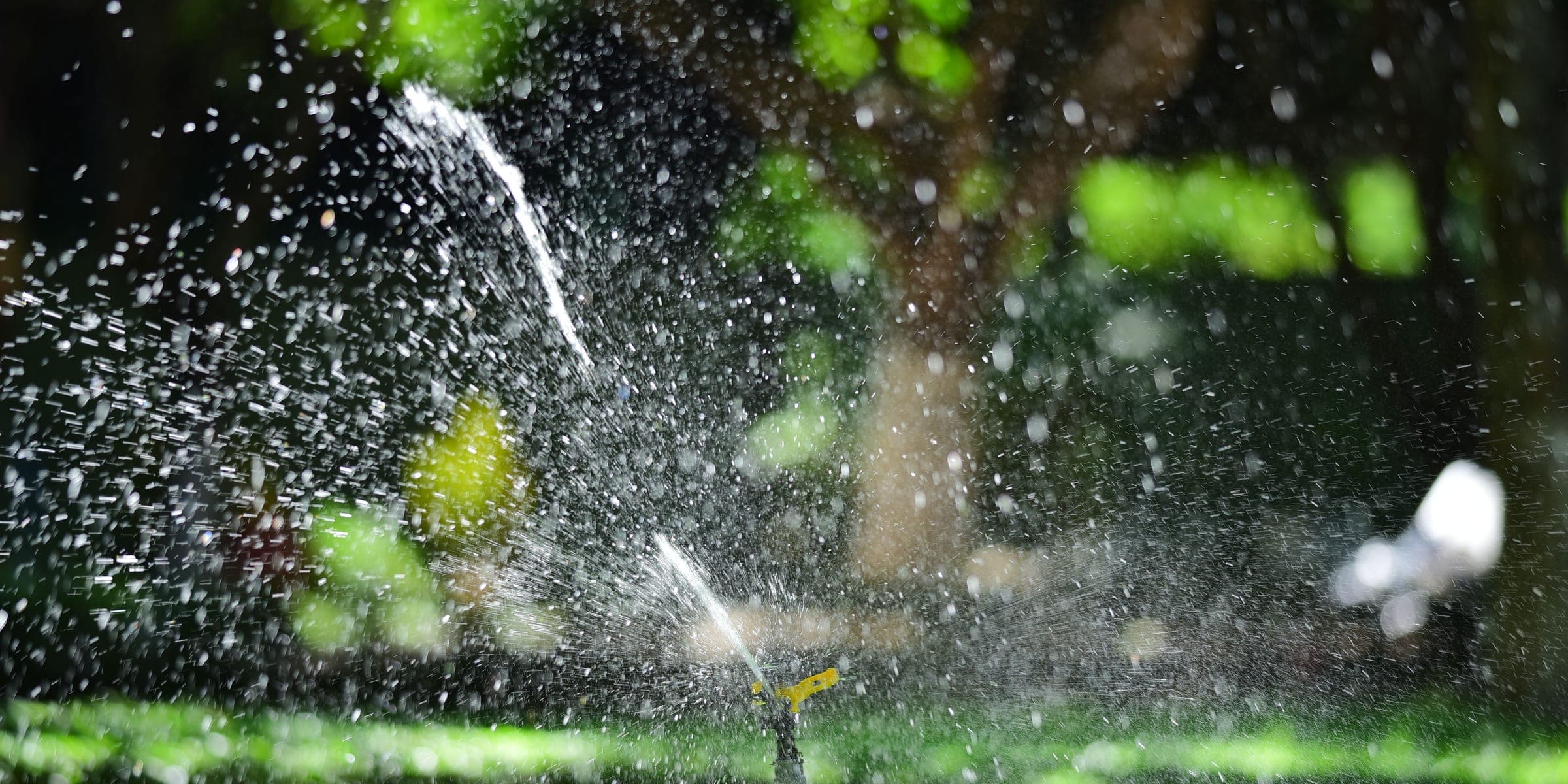 Lawn sprinkler spraying water over green grass on a sunny day