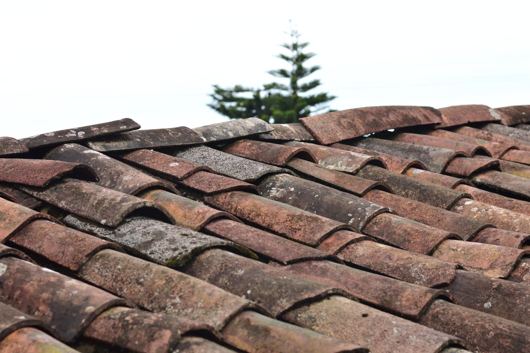 Close-up of weathered brown clay barrel tiles on a sloped roof